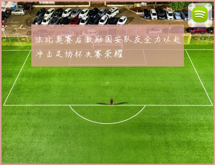 法比奥赛后激励国安队友全力以赴冲击足协杯决赛荣耀