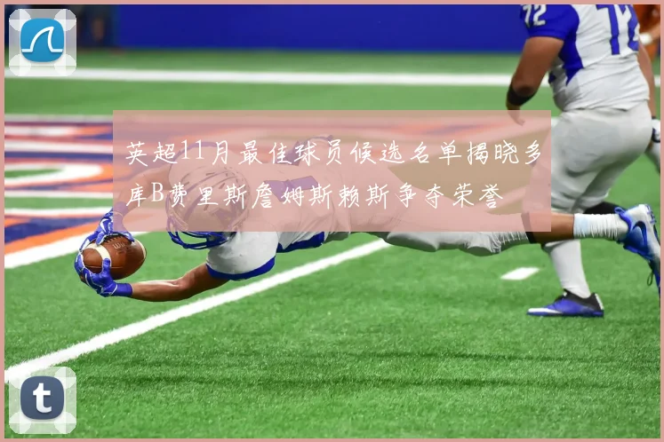 英超11月最佳球员候选名单揭晓多库B费里斯詹姆斯赖斯争夺荣誉