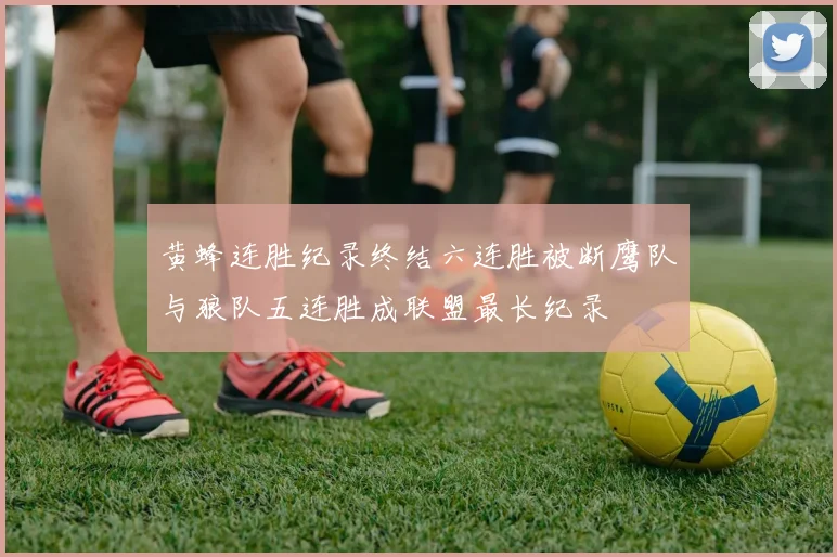 黄蜂连胜纪录终结六连胜被断鹰队与狼队五连胜成联盟最长纪录