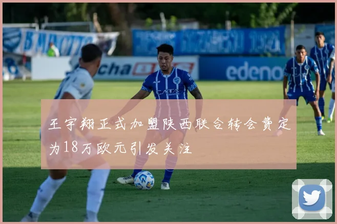 王宇翔正式加盟陕西联合转会费定为18万欧元引发关注