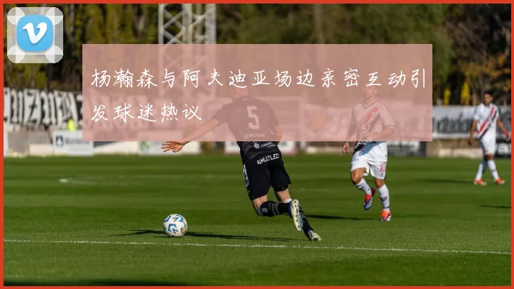 杨瀚森与阿夫迪亚场边亲密互动引发球迷热议