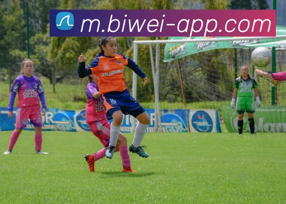 必威体育平台生态图